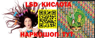 сатива Аргун