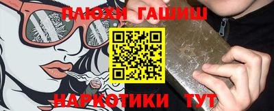 сатива Аргун