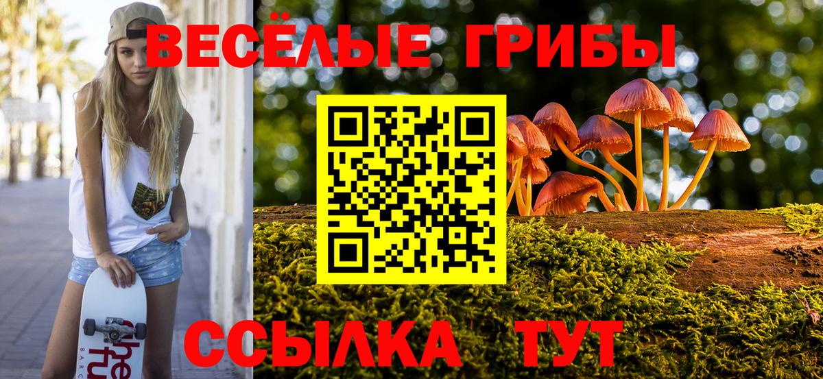 Галлюциногенные грибы Magic Shrooms Александров