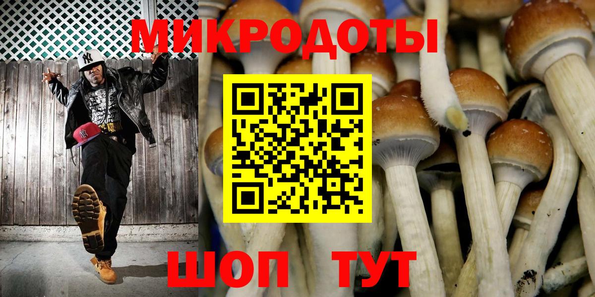 Александров  Галлюциногенные грибы мухоморы  Вход с VPN 